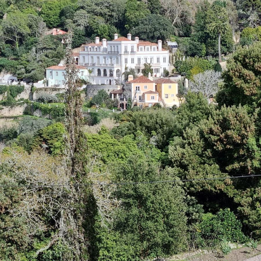 Quinta Da Bella Vista - Historic Home And Farm Синтра Экстерьер фото